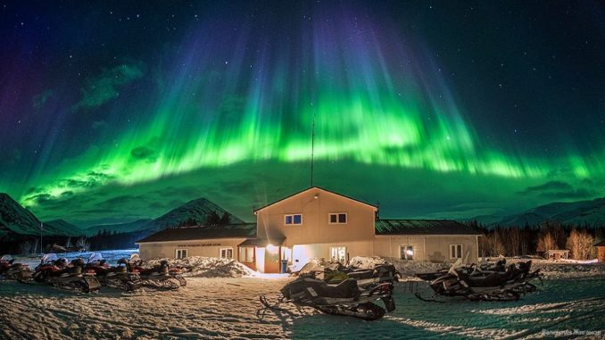 Ausflug Murmansk Kola Schlittenhunde Ausflug Murmansk Kola Schlittenhunde