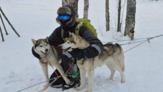 Ausflug mit Hundeschlitten &#8211; Murmansk und Kola Halbinsel