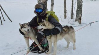 Ausflug mit Hundeschlitten - Murmansk und Kola Halbinsel