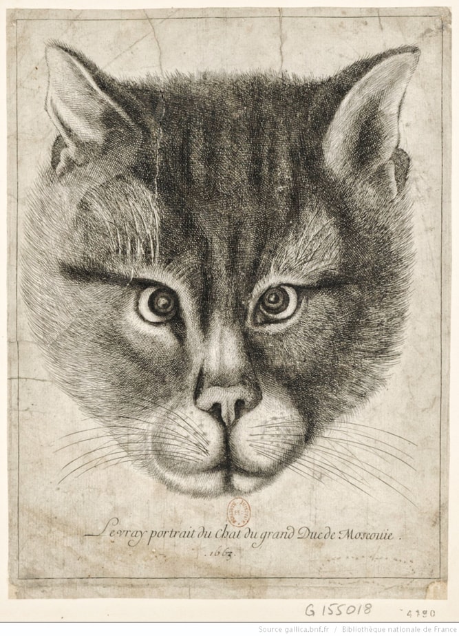Porträt der Katze von Zar Alexej Michailowitsch